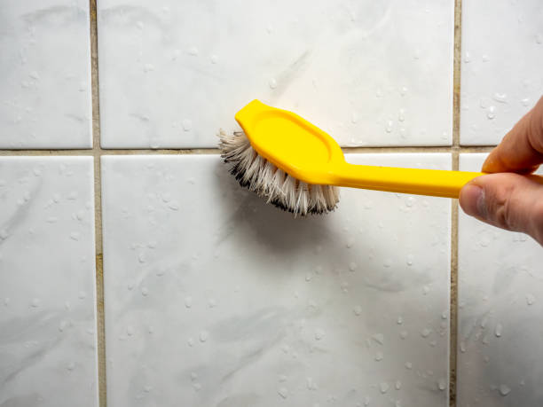Best Black Mold Removal  in Jacinto City, TX